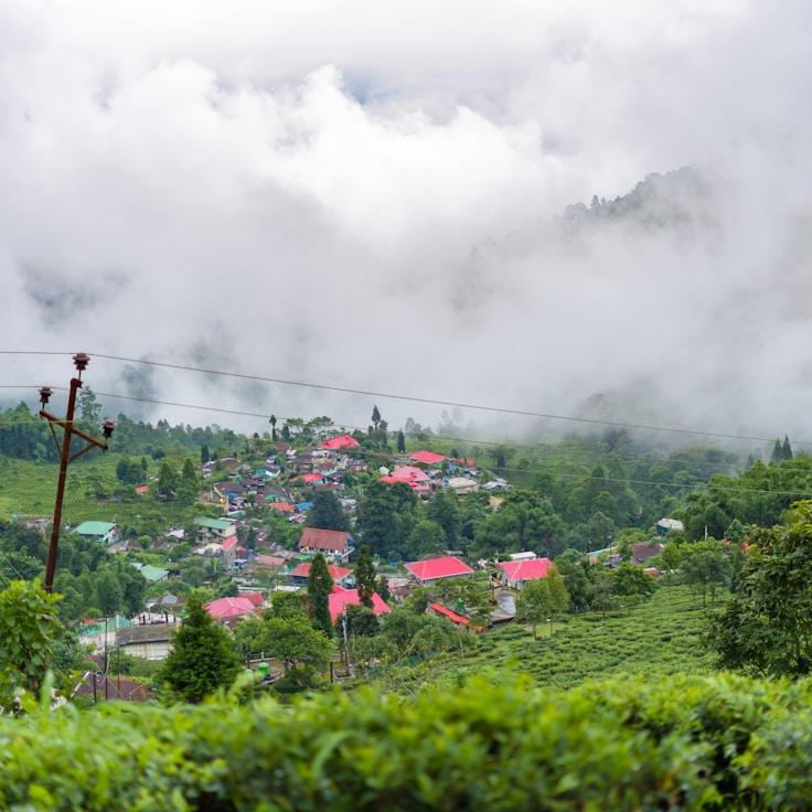 Family-friendly dining with comfortable seating